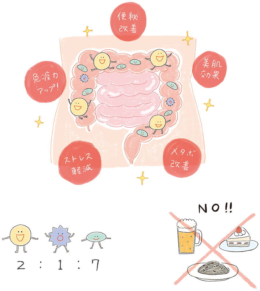 腸活のカットイラスト – イラストレーター モリモトヨシコ：「伝わるイラスト」作成します